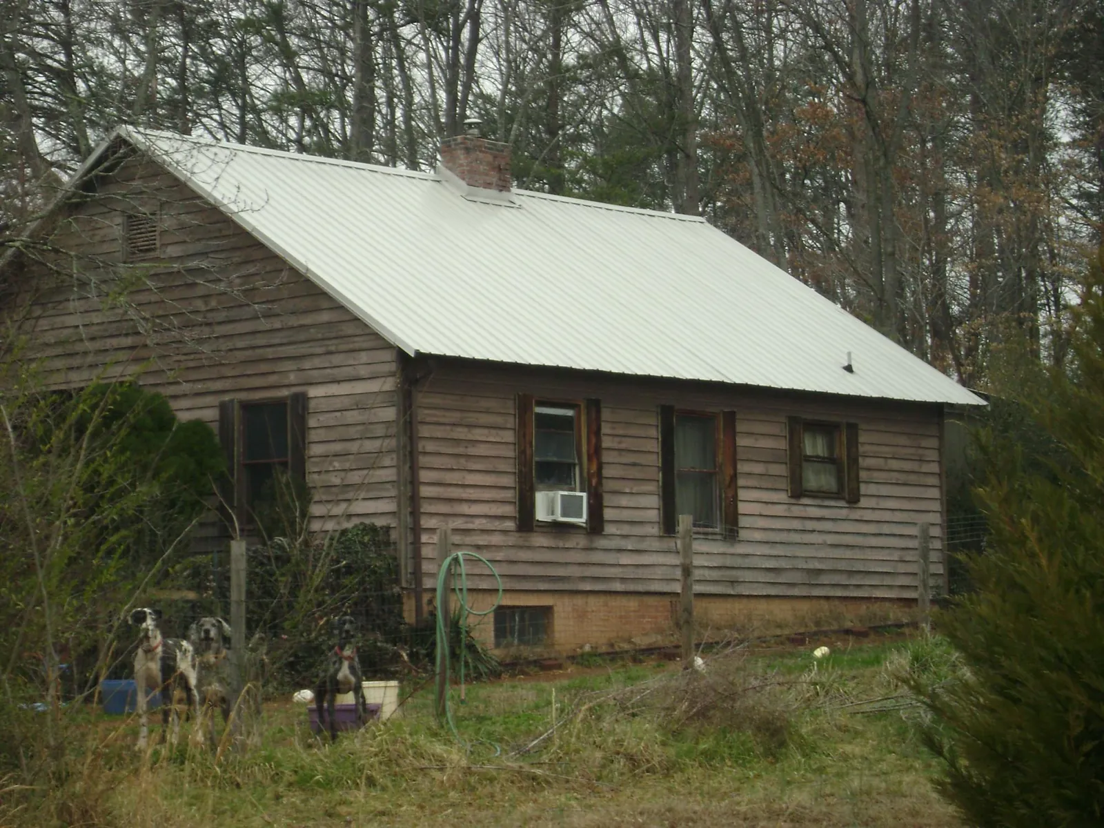 White metal roof on an old wood sided farmhouse, from a Asphalt Shingle Roof Repair job in Coffeen